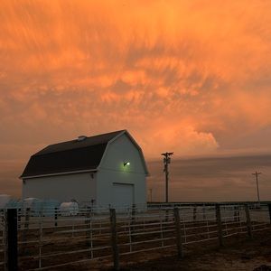 Meet your Posher, Bailey